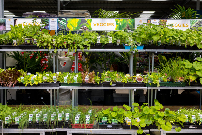 coffs-harbour-nursery-coffs-garden-world